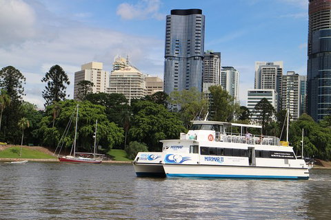 Lone Pine Koala Sanctuary Admission With Brisbane River Cruise - Accommodation Southport 32