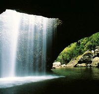 World Heritage Springbrook National Park Tour Including Natural Bridge - Southport Accommodation