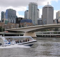 Koala Express to Lone Pine Koala Sanctuary - Southport Accommodation