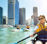 Brisbane Kayak Tour - Southport Accommodation