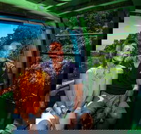 Skyrail Rainforest Cableway Day Trip from Palm Cove - Accommodation Southport