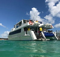 Eco Marine Safari - Boom netting  Snorkeling Moreton Island - Fortitude Valley - Southport Accommodation