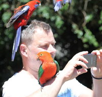 Small-Group 4WD Lamington National Park Day Trip from Brisbane - Southport Accommodation