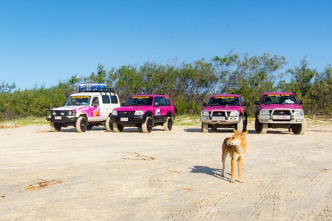 3 Day 4wd Tagalong Tour - Fraser Island - Accommodation Southport 0