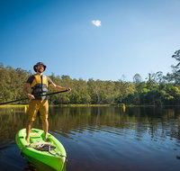 Walkabout Creek Adventures Stand Up Paddle Board Hire - Southport Accommodation