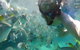 2-Day Moreton Island 4WD Camping Tour From Brisbane - thumb 1