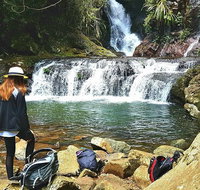Lamington Day Tour - Southport Accommodation