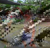 Hartley's Crocodile Adventures Day Trip from Cairns - Accommodation Southport
