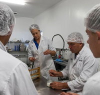 Camel Farm Lab Experience - Southport Accommodation