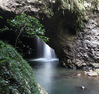 Small-Group 4WD Springbrook National Park Day Trip from Brisbane - Southport Accommodation