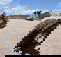 Magnetic Island Tour Maggie Comprehensive - Accommodation Southport