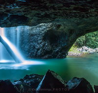 Springbrook Half Day Tour - Southport Accommodation