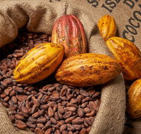 Charley's Chocolate Factory Tour Mission Beach Including Aussie Farm Lunch - Southport Accommodation