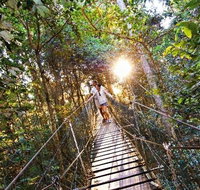 O'Reilly's Lamington National Park and Treetop Canopy Tour - Southport Accommodation