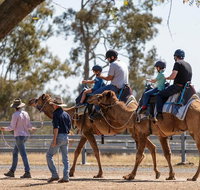 Camel Rides - Southport Accommodation