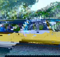 3.5 hour Eco Tour - Accommodation Southport