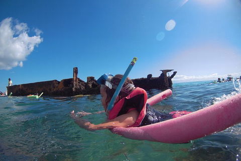 All Inclusive Dolphin And Tangalooma Wrecks Cruise Departing Gold Coast - Southport Accommodation 1
