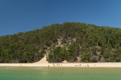 All Inclusive Dolphin And Tangalooma Wrecks Cruise Departing Gold Coast - Southport Accommodation 3