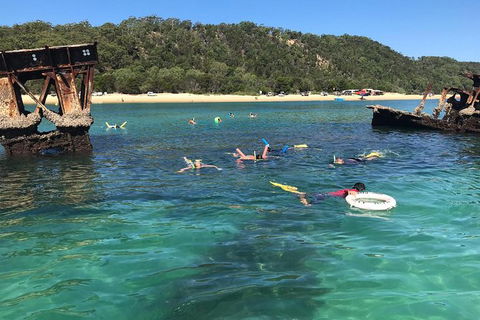 All Inclusive Dolphin And Tangalooma Wrecks Cruise Departing Gold Coast - Southport Accommodation 9