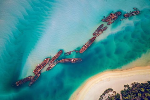 All Inclusive Dolphin And Tangalooma Wrecks Cruise Departing Gold Coast - Southport Accommodation 6