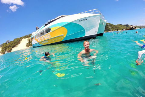 All Inclusive Dolphin And Tangalooma Wrecks Cruise Departing Gold Coast - Southport Accommodation 2