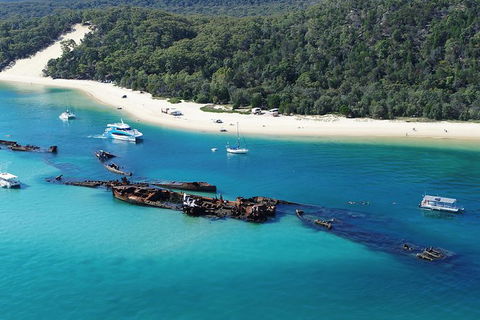 All Inclusive Dolphin And Tangalooma Wrecks Cruise Departing Gold Coast - Southport Accommodation 5