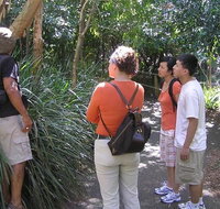 Boomerang Aboriginal Cultural Tours - Southport Accommodation