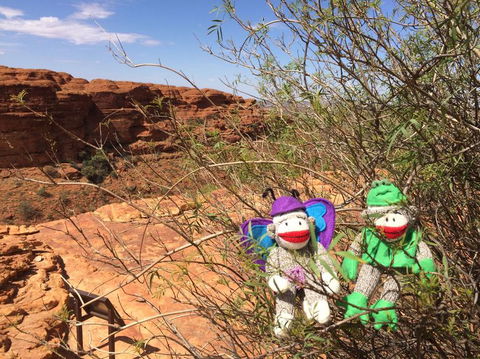 Kings Canyon Day Trip From Ayers Rock - Accommodation Southport 23