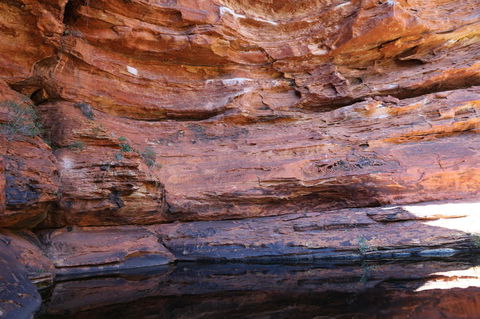 Kings Canyon Day Trip From Ayers Rock - Accommodation Southport 16