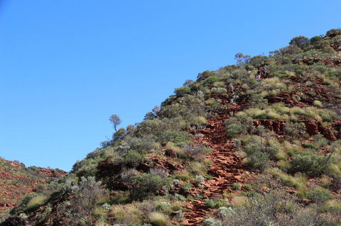 Kings Canyon Day Trip From Ayers Rock - Accommodation Southport 21
