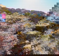 Kings Canyon Day Trip from Ayers Rock - Accommodation Southport