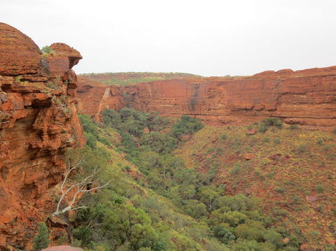 Kings Canyon Day Trip From Ayers Rock - Accommodation Southport 13