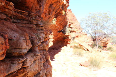 Kings Canyon Day Trip From Ayers Rock - Accommodation Southport 20