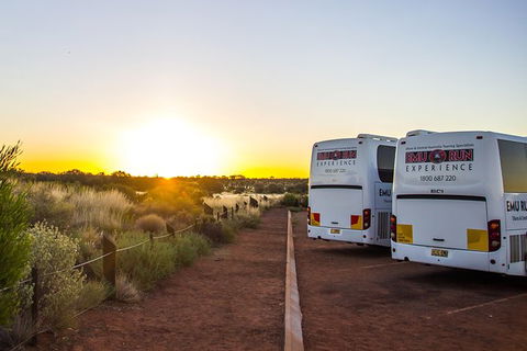 Uluru And Kata Tjuta Experience With BBQ Dinner - Southport Accommodation 4