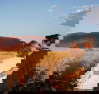 Uluru Ayers Rock Sunset with Outback Barbecue Dinner and Star Tour - Accommodation Southport