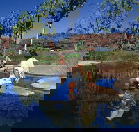 Palm Valley 4WD Tour - Accommodation Southport