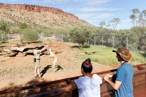 Alice Springs Desert Park General Entry Ticket - Southport Accommodation 9