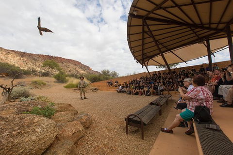 Alice Springs Desert Park General Entry Ticket - Southport Accommodation 5