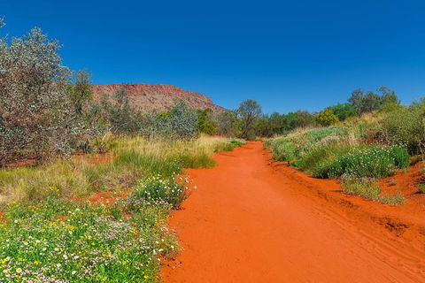 Alice Springs Desert Park General Entry Ticket - Southport Accommodation 7