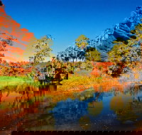 Palm Valley 4WD Day Tour - Southport Accommodation