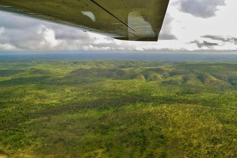 Litchfield Park & Daly River - Scenic Flight From Darwin - Accommodation Southport 4