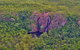 Litchfield Park & Daly River - Scenic Flight From Darwin - thumb 9