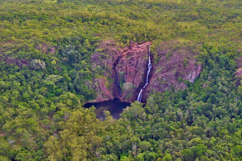 Litchfield Park & Daly River - Scenic Flight From Darwin - Accommodation Southport 9