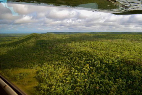 Litchfield Park & Daly River - Scenic Flight From Darwin - Accommodation Southport 5