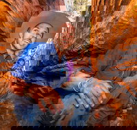 3-Day Red Centre Camping Safari from Alice Springs or Ayers Rock Including Kings Canyon - Southport Accommodation