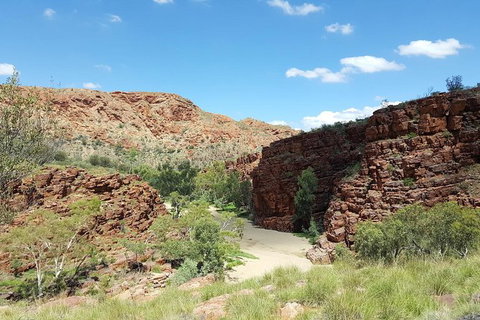 East MacDonnell Ranges 1 Day 4WD Tour - Southport Accommodation 0