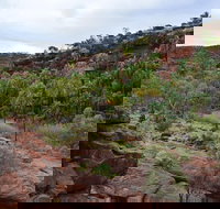 Palm Valley and Hermannsburg 1 Day 4WD Tour - Southport Accommodation