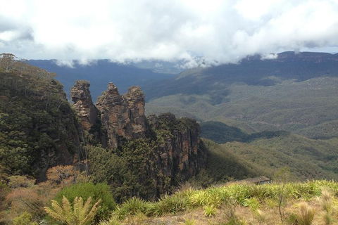 All-Inclusive Blue Mountains Tour In A Luxury Mercedes Sprinter - Southport Accommodation 11