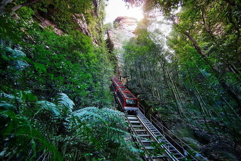All-Inclusive Blue Mountains Tour In A Luxury Mercedes Sprinter - Southport Accommodation 3