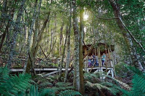All-Inclusive Blue Mountains Tour In A Luxury Mercedes Sprinter - Southport Accommodation 19